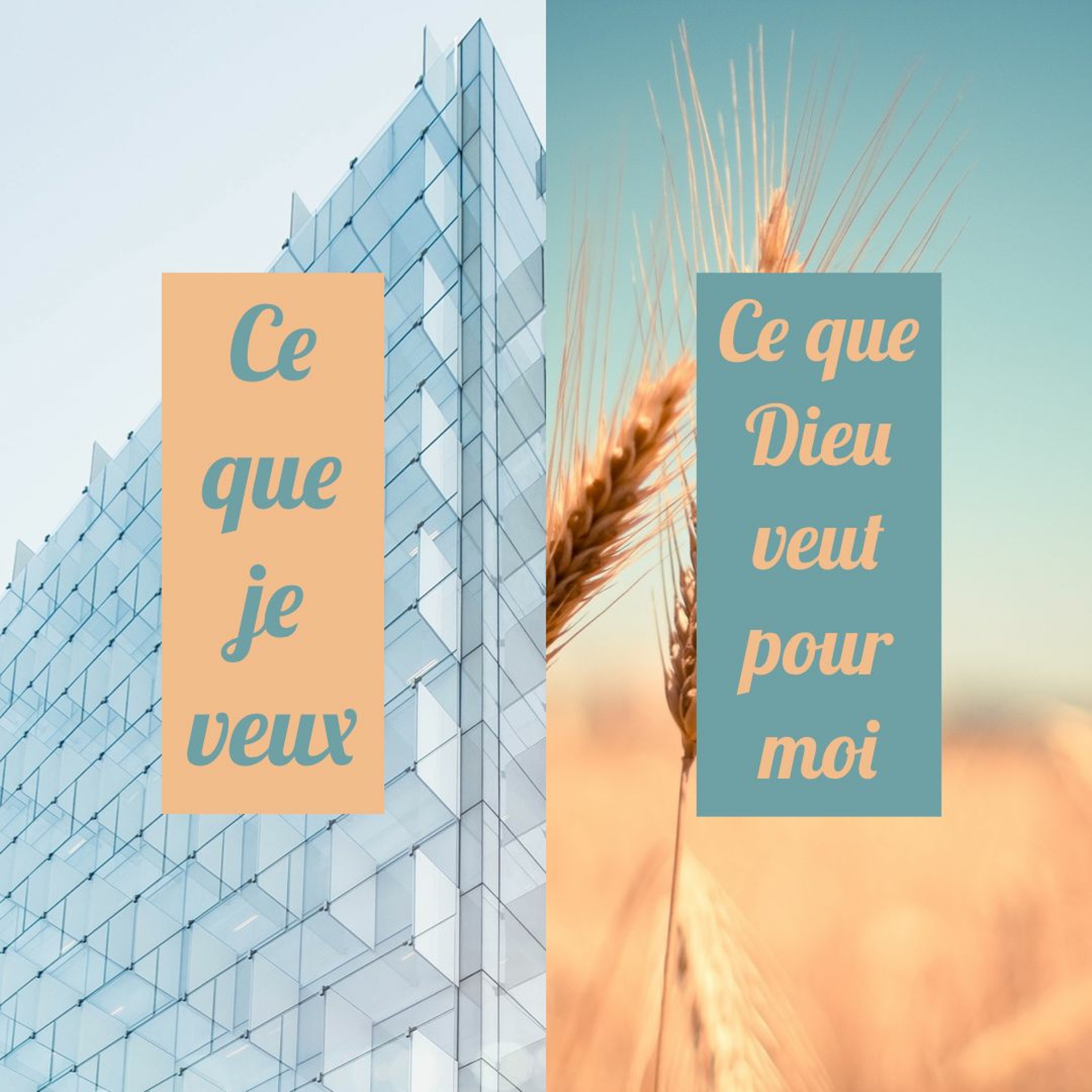 Distinguer ce que nous voulons de ce que Dieu veut pour nous episode artwork