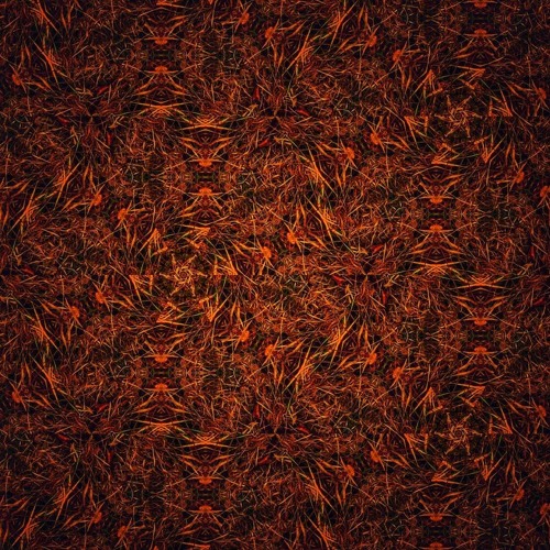 Erratic Dance 12.5.19