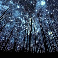 dancing the dark