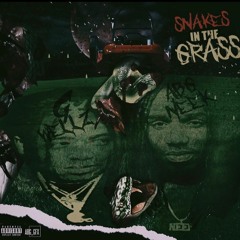 Snakes In The Grass Ft ABG NEEK