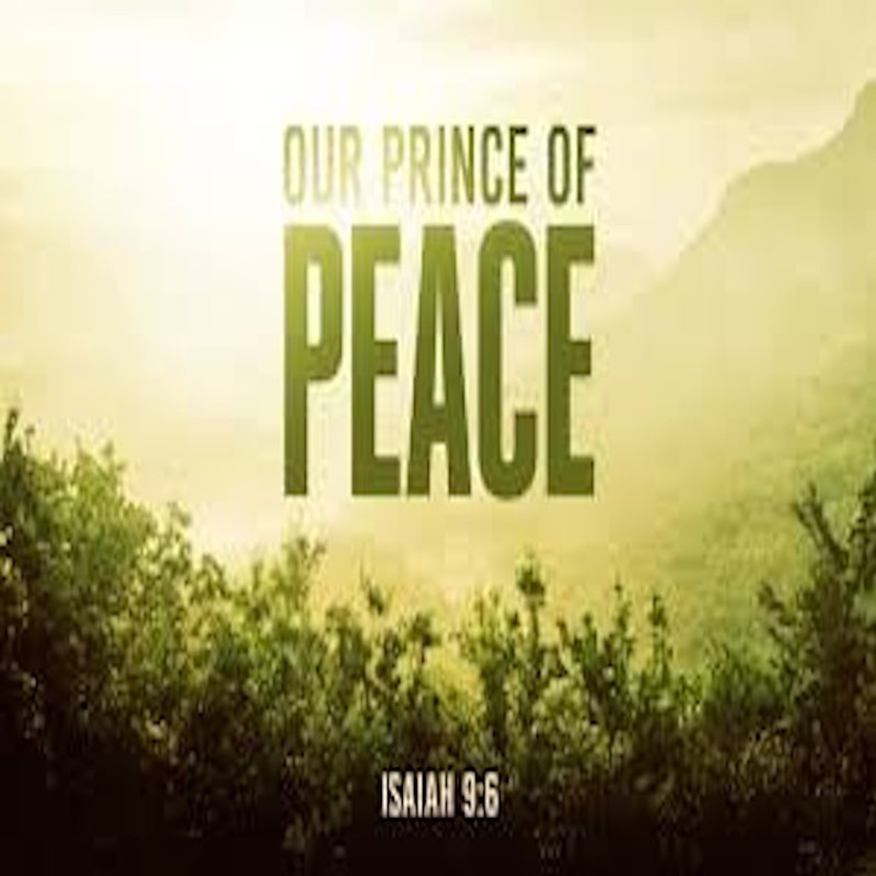 "Prince of Peace" - Paula Waterman episode artwork