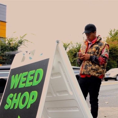 Swimming In The Money