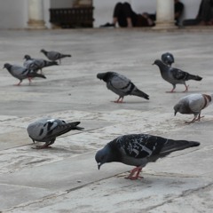 روحانيات