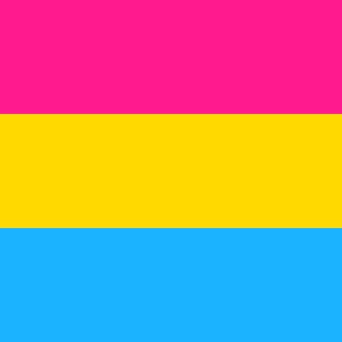 The Pansexual Song