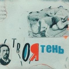 VSH-твоя тень (cтихи Проезд Чехова )