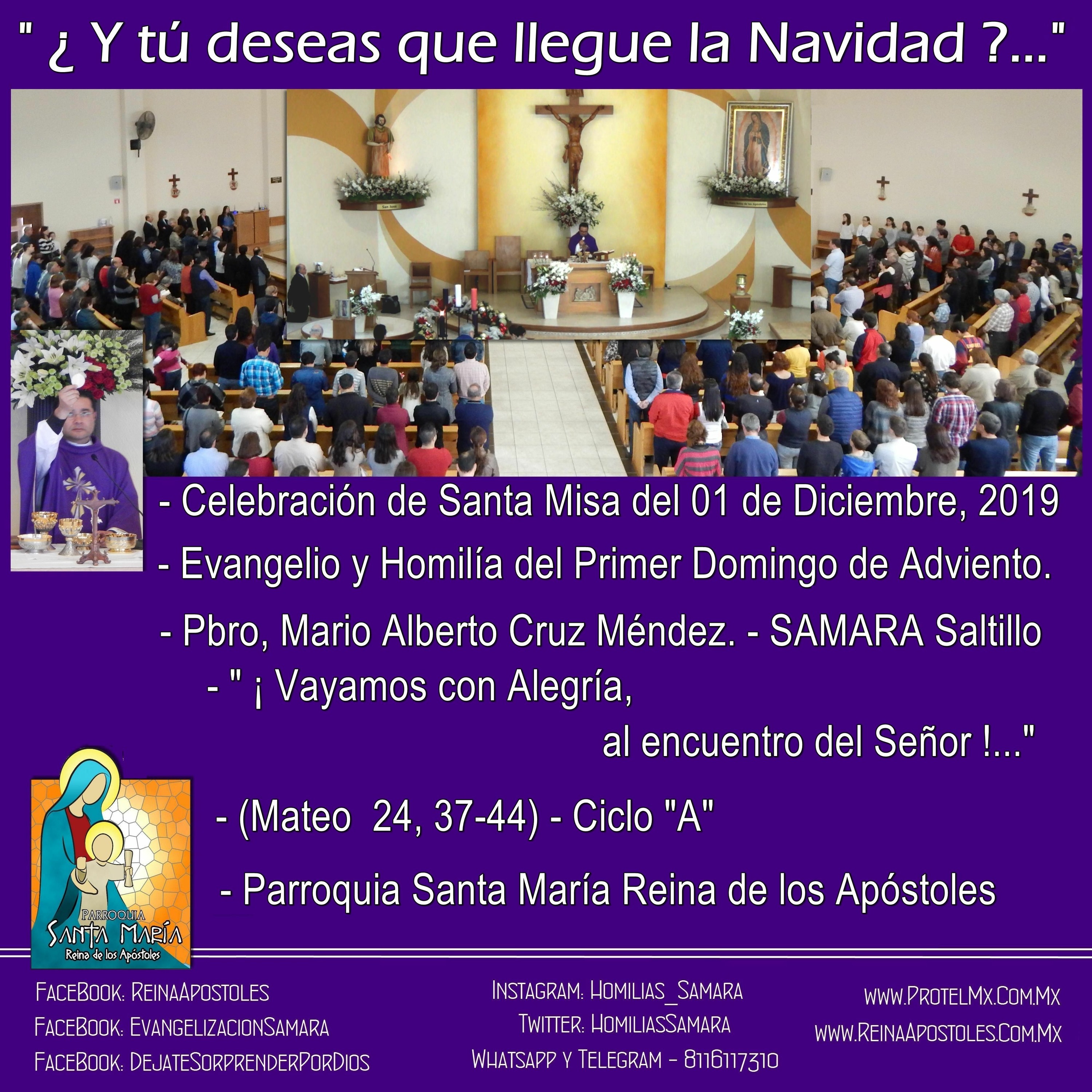 SAMARA_Saltillo #2019