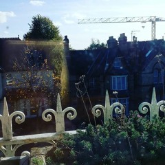 Orchard Terrace (prod. Musikal)