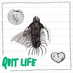 Quit Life - Inner Night - Avant Radio mix n.21