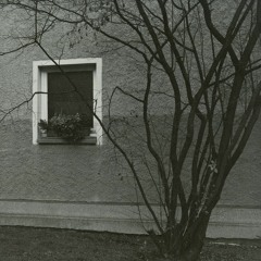 Timboletti - BarfußBravo(Caterkarlos - Remix)