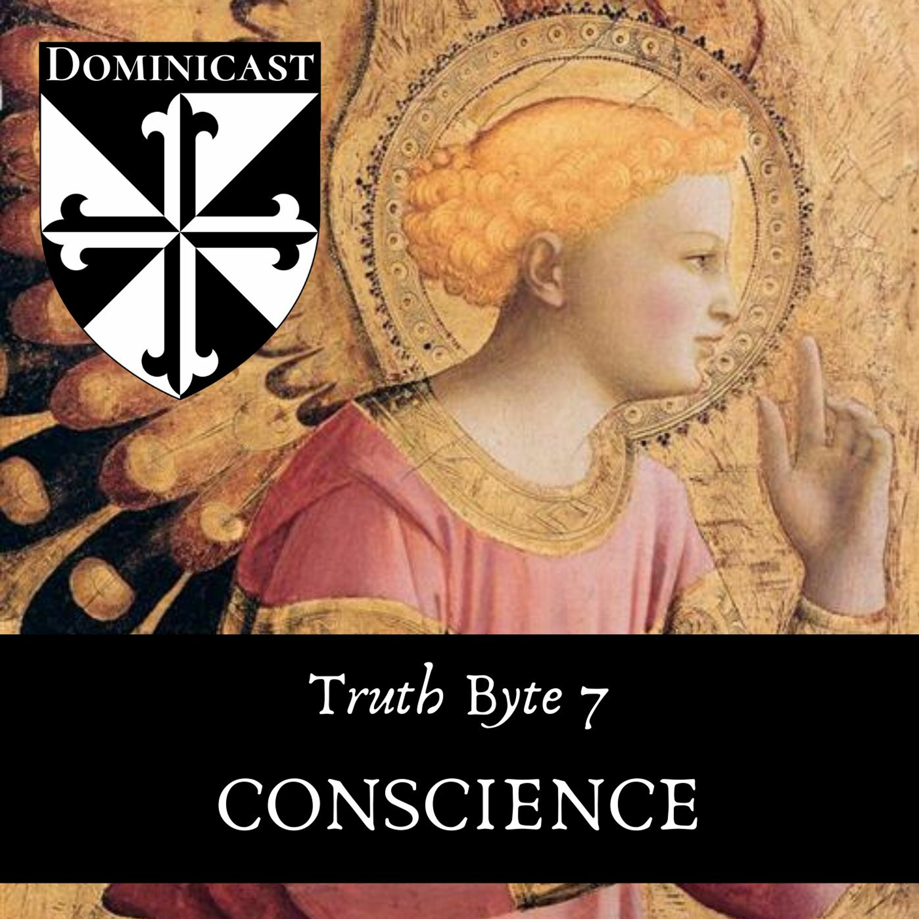 Conscience: Emotion or Truth? - Truth Byte 7 episode artwork