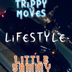 Trippy Moves x Little Sammy - Lifestyle