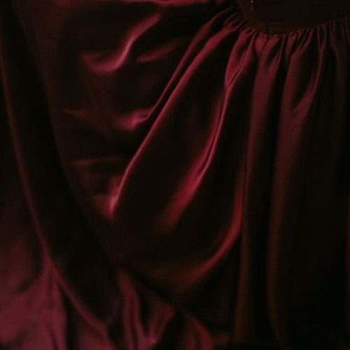 VAMPYRE HAS DIED [w/ LS]