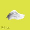 Download Video: Wings