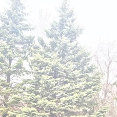 Let Him Break Your Heart Ima Kill Him (prod. Umistyle) [LYRICS IN DESCRIPTION]