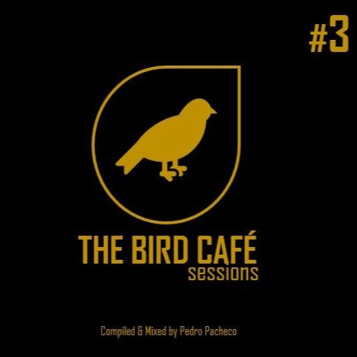 The Bird Café Sessions #3