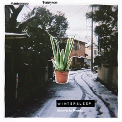 tennyson - wintersleep (aloeveria remix)