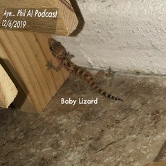 BABY LIZARD 12/6/2019