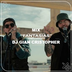 Mix Fantasias Rauw Alejandro - Gian Cristopher Dj