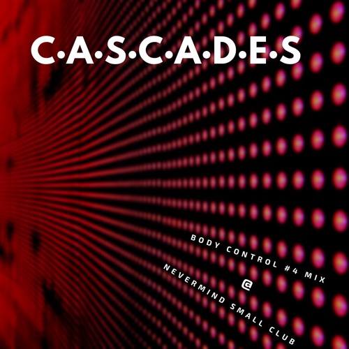 Body Control @ Nevermind Small Club