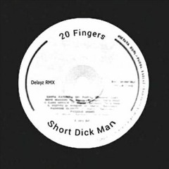 Short Dick Man - 20 Fingers (Delayz Remix) **Click BUY for FREE DOWNLOAD**