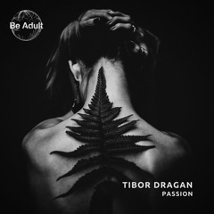 Tibor Dragan - I Don't Like You (Original Mix)