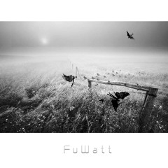 Junk blues / FuWatt
