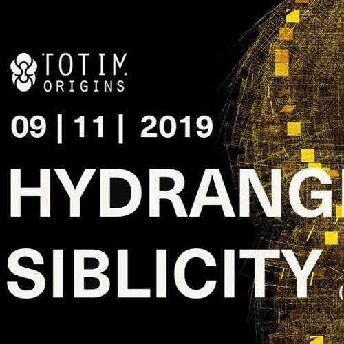 TOTIM Origins 09.11.2019 @Ambient - Warmup - Siblicity (Peter)