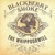 Artwork for Blackberry Smoke - PRETTY LITTLE LIE - (Acoustic-Cover) by JS + Dani