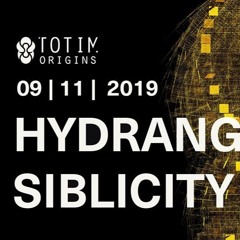 TOTIM Origins 09.11.2019 @Ambient - Main - Hydrangea