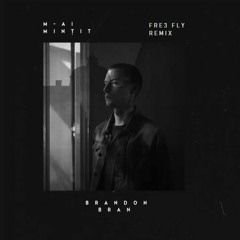 Brandon Bran - M-ai Mintit (Fre3 Fly Remix)