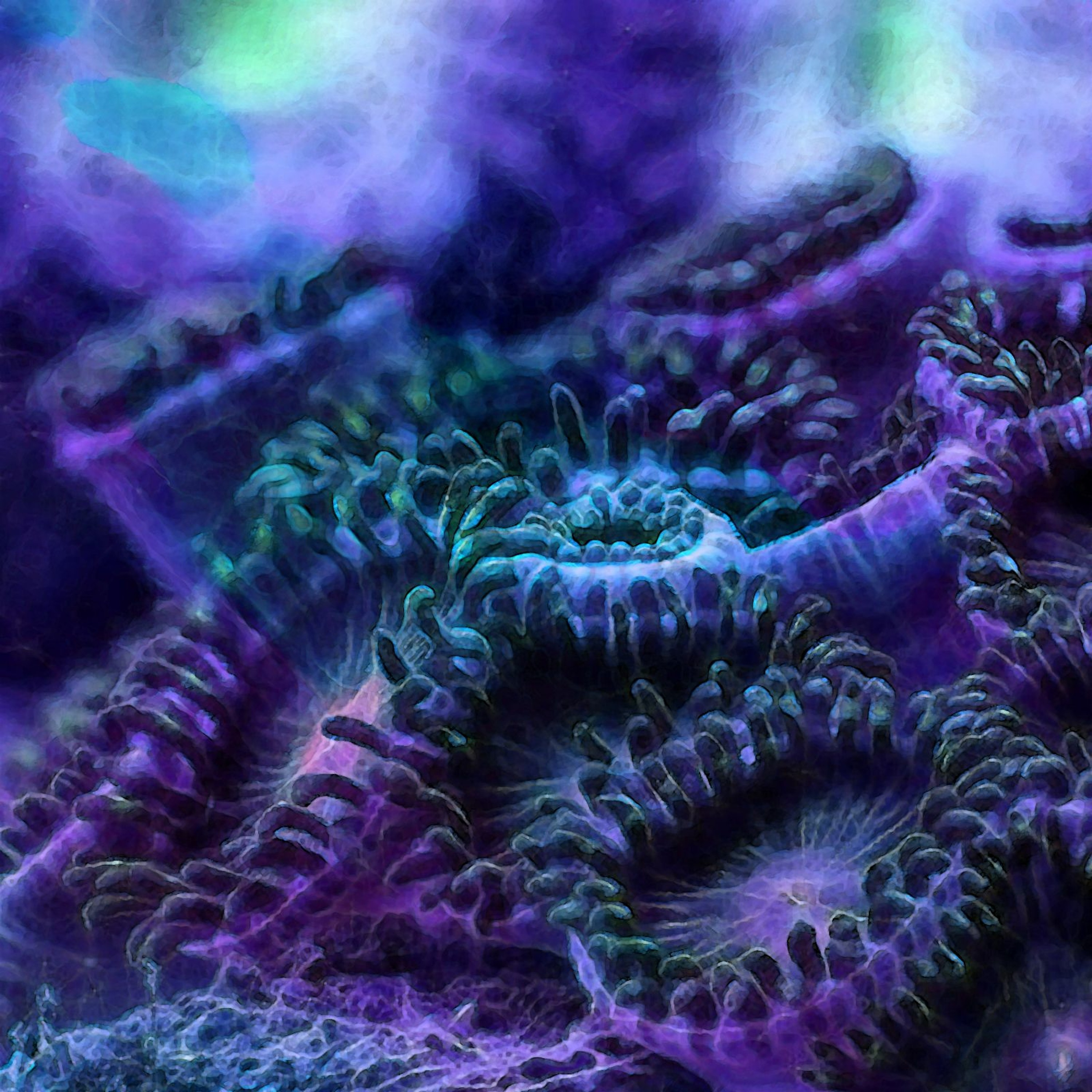 Wavefront - EnigmaCurry and Mystique Wind episode artwork