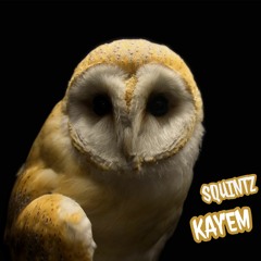 Stealth Ft. KAYEM