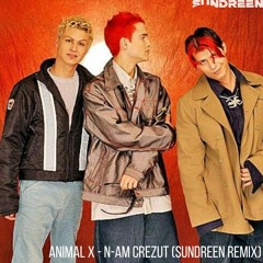 ANIMAL X - N-am crezut (SUNDREEN Remix)