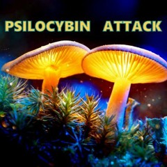 XPARAMENTAL -  PSYLOCIBIN ATTACK OUT SOON (UNMASTERED)
