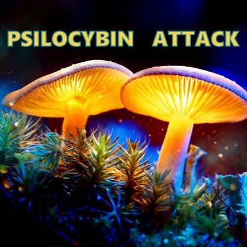 XPARAMENTAL -  PSYLOCIBIN ATTACK OUT SOON (UNMASTERED)