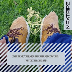 Microphone Vibes  (Prod.PK)