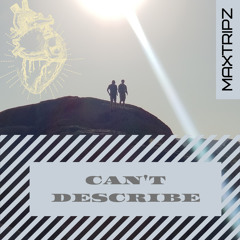 Can't Describe (Prod. Nk Music)