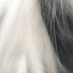 Lose You To Love Me (Selena Gomez)