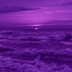 Purple 5