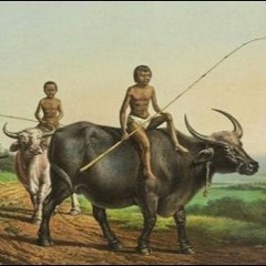 Kebogiro (Gamelan Java) (Crazy Water Buffalo)