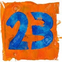 Numero 23