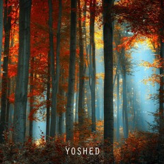 The forest