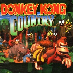 Donkey Kong Country - King K Rool Theme (remastered) - EDIT By Sander