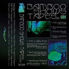 PREMIERE #736 | Eiger Drums Propaganda - Reflection, Dysfunction [Bamboo Shows] 2019