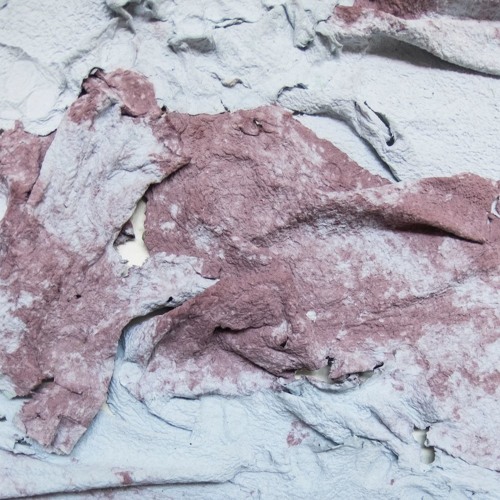 Conversation with artist Fanny Hellgren (Dec 2019, Sydney/Gothenburg via Skype)