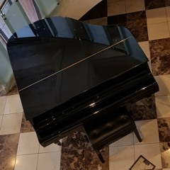 Playing A Grand Piano at Quality Hotel, Batman Hill, Melbourne VIC