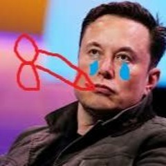 pisell0 con elon musk della tesla UwU (prod elonmuskofficialtube)