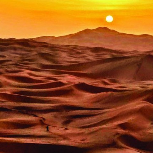 Pettra Desert 180 Bpm