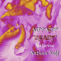NippNipp- (Crazy) Ft Nathan Kidd