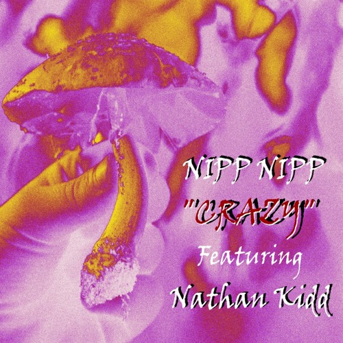 NippNipp- (Crazy) Ft Nathan Kidd